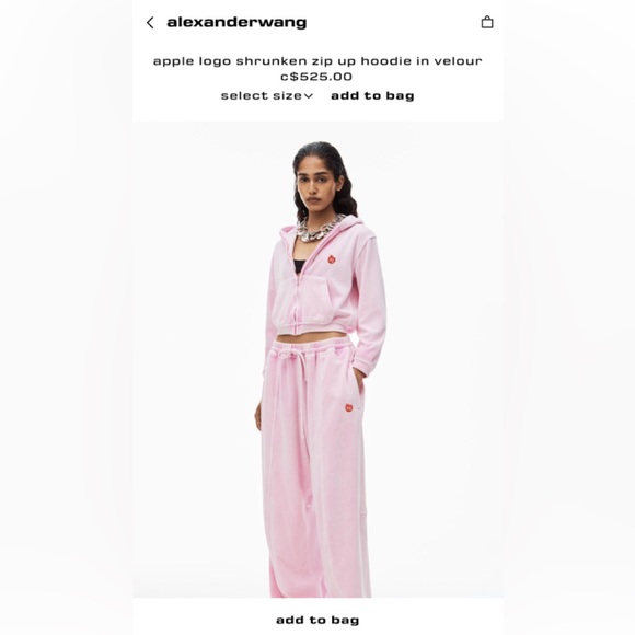 Alexander Wang apple logo shrunken zip up hoodie in velour - Picture 1 of 2